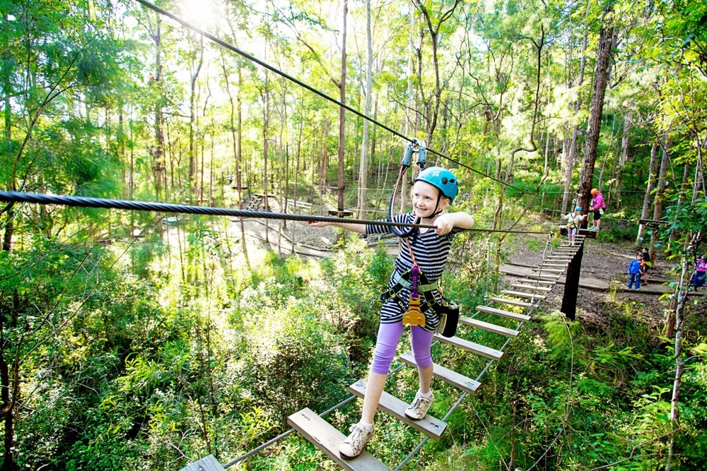 Thunderbird Park TreeTop Challenge & High Ropes Tamborine Mountain, QLD